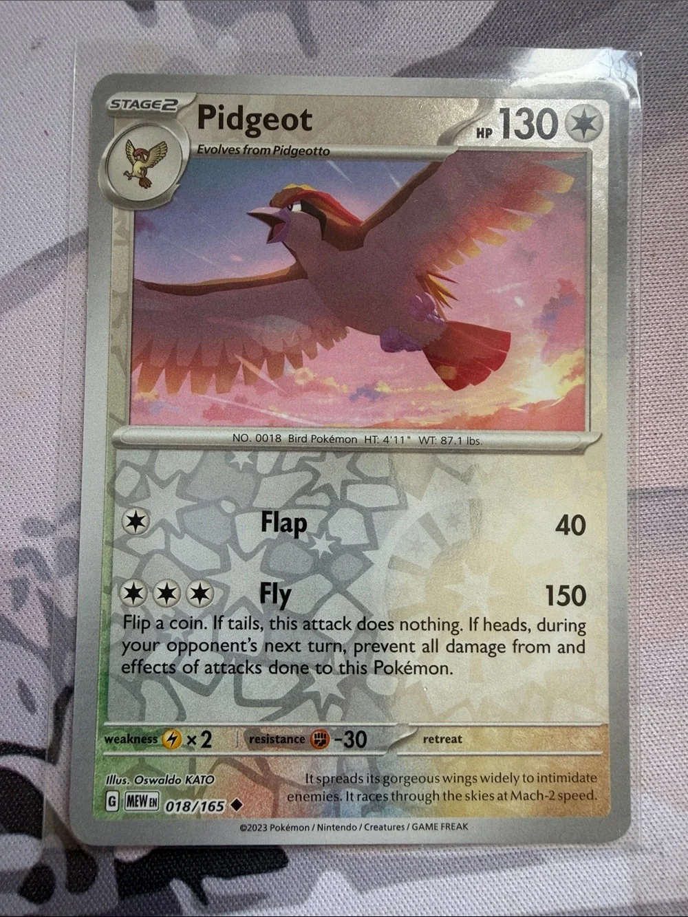 Pidgey, Pidgeotto & Pidgeot Evolution Lot | 5 Cards | Reverse Holo | ✨5/$25✨